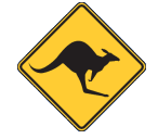 Capel Skippycoin ICG