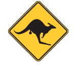 Capel Skippycoin ICG